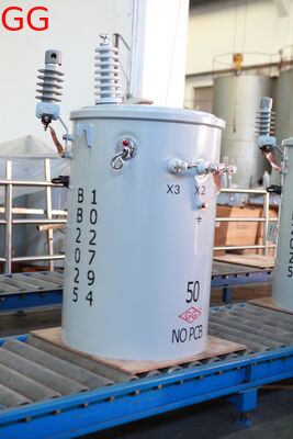 Pole-Mounted 10kV Single-Phase Power Distribution Transformer