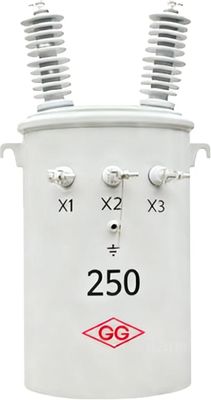 comprare Trasformatore monofase su palo da 10kVA - 250 kVA per alimentazione online manufacture
