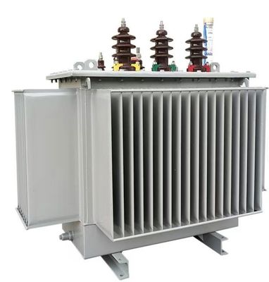 Buy 125kVA 20kV Oil-immersed Distribution Transformer S(B)22-NX1 Energy Efficiency Level 1 online manufacture