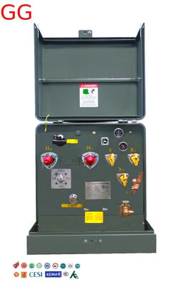 comprar Transformadores de distribución monofásicos montados en almohadillas, de tipo autoenfriado, de 50 kVA, diseñados para redes de distribución urbanas online manufacture