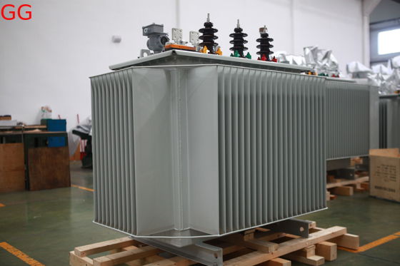 80kVA 10kV Oil Immersed Distribution Transformer S(B)22-NX1 Energy Efficiency Level 1