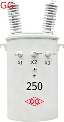 250 Kva Distribution Transformer Pole Mounted CSP Completely Self Protected Transformer