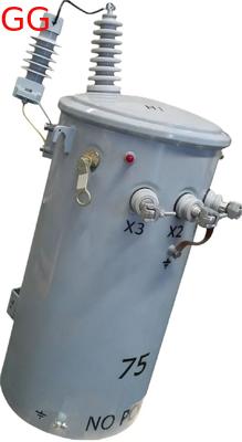 CSP Type 167kVA Single Phase Pole Mounted Distribution Transformer for Railway Station