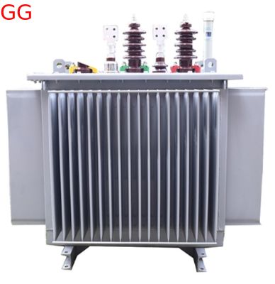 50 Kva Distribution Transformer Oil Immersed 20kV S(B)22-NX1 Energy Efficiency Level 1