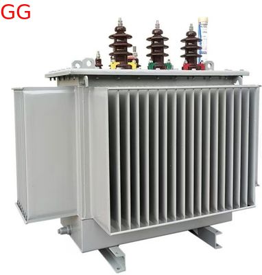 125kVA 20kV Oil-immersed Distribution Transformer S(B)22-NX1 Energy Efficiency Level 1
