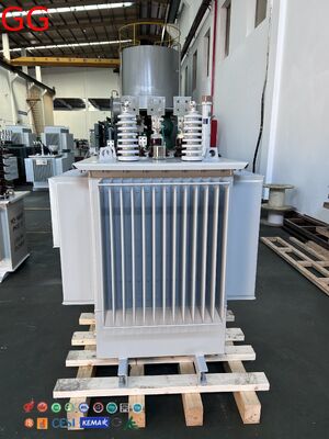 333kVA, 20kV Input Oil-Immersed Distribution Transformer (ONAN Cooling)