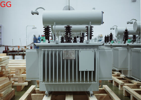 S-315/20(15)-0.4 Distribution Transformer Oil Immersed Distribution Transformer Built with Insulating Oil and Robust Core Materials for Improved Electrical Stability