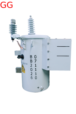 100/167/250kVA Single Phase Pole Mounted Transformer for Power Distribution